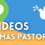 Videos Lemas Pastoral